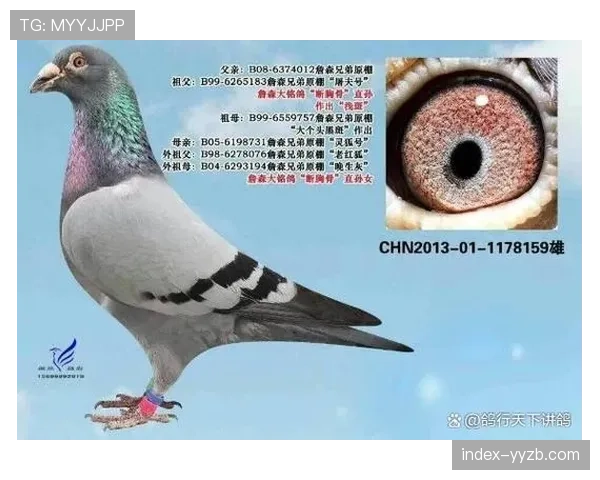 巴黎-鲁贝女子组前十：科赫冠军，沃斯亚军，费朗-普雷沃季军网页